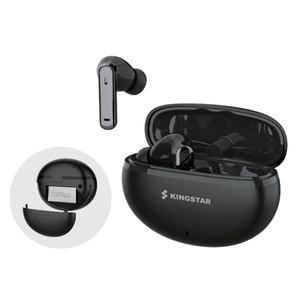 Detachable Battery TWS Earbuds