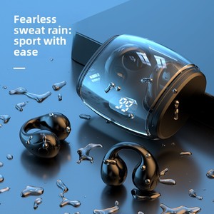 TWS Bluetooth 5.3 Wireless Earphones IPX4 Hi-Res Audio