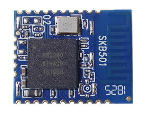 Integrated Circuit BLE 5.0 Hearing Defender Board